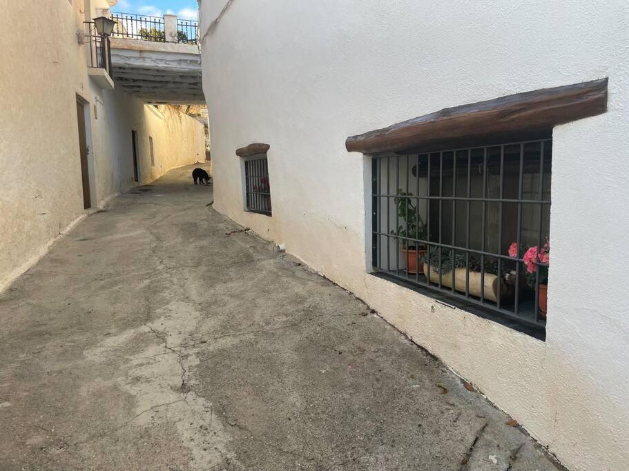La Cuadra De Anita Βίλα Mecina Fondales Εξωτερικό φωτογραφία